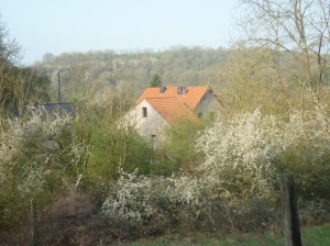 Bild: Ferienwohnung Delattre in der Südeifel