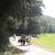 Galeriebild 2