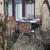 Galeriebild 2