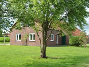 Modernes Ferienhaus in Alleinlage an der Nordsee