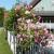 Galeriebild 2