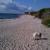 Galeriebild 5